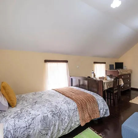 Casa Da Vizinha Casa de Férias Ponta do Sol (Madeira)